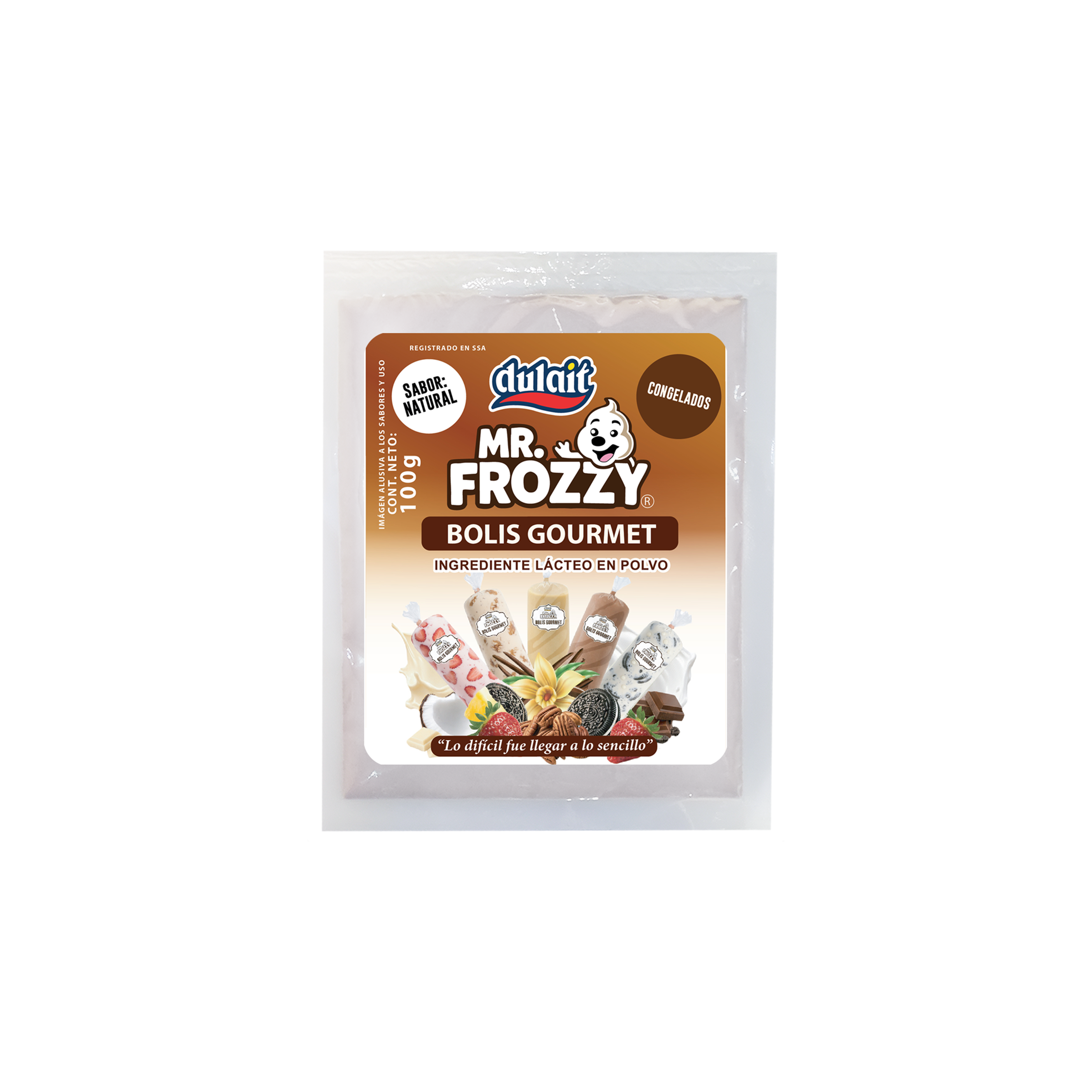 MR FROZZY BOLIS GOURMET